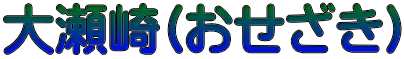 大瀬崎(おせざき)