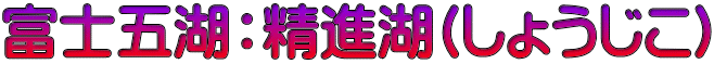 富士五湖：精進湖(しょうじこ)