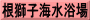 根獅子海水浴場