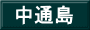 中通島